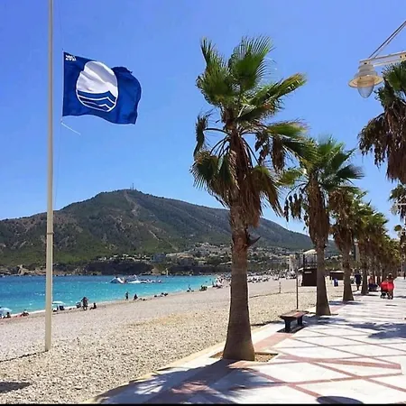 Albir Cosy * Альбир
