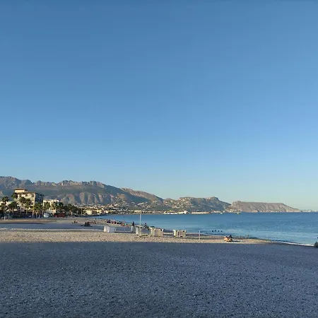 Albir Cosy